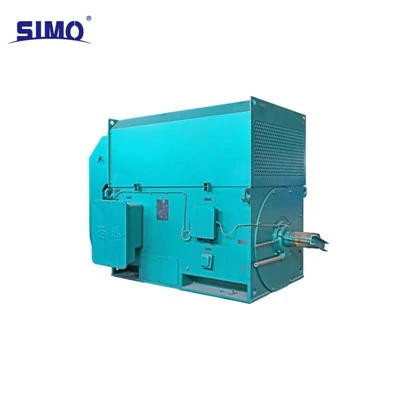 High voltage asynchronous motor YKK-355-2-220KW-6KW-IC01-B3